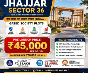 WhatsApp Image 2026-04-03 at 11.20.13